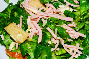 Wurstsalat mit Feldsalat