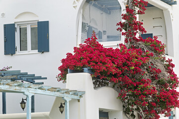 Charming Mediterranean-style building in Ermoupolis, Syros, Greece, with white walls and blue shutters. A vibrant red bougainvillea cascades over the balcony,  © hectorchristiaen