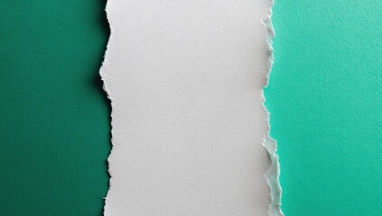 色紙の間にある白紙の場所