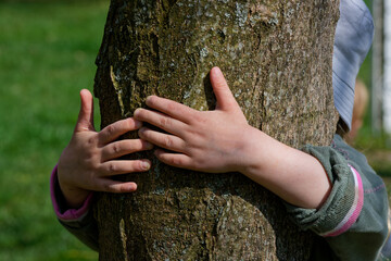 Mains d'enfant serrant le tronc d'un arbre
