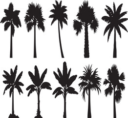 Silhouettes of Various Palm Trees Against a White Background tropical nature