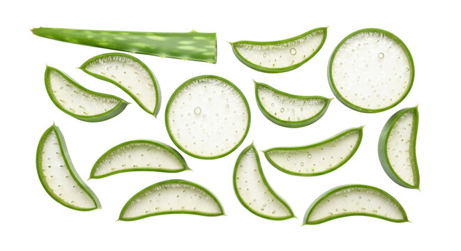 feuille aloe vera Tipps zur Pflege deiner Pflanze : Aloe Vera – PflanzenFuerAlle main image 1