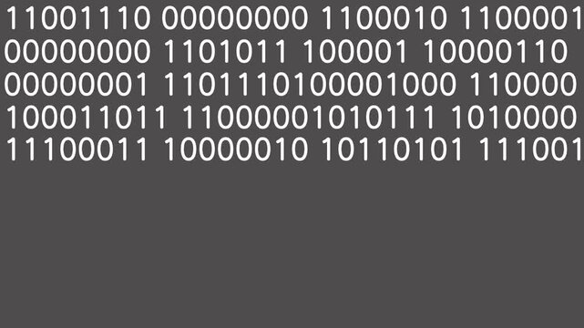 コンピューター言語のイメージ（白_ダークグレー）のアニメーション動画