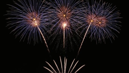 Obraz premium Dynamic bursts of colorful pyrotechnics light up the vast night sky, creating an awe-inspiring spectacle of light for a festive celebration