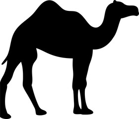 Camel Silhouette Vector on Desert Dunes, Middle Eastern Travel Concept