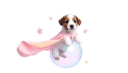 A puppy superhero with pink cape perched atop a bubble, stars around it, against black