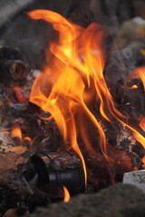 Close-up of a vibrant orange flame dancing in a fire.