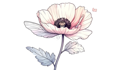 Digital illustration of a delicate, pale poppy flower with detailed lines and a black background