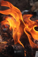 Close-up of vibrant orange flames dancing and flickering in a dark setting.