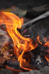 Close-up of a vibrant orange fire burning wood in a dark setting.