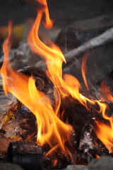Close-up of vibrant orange flames dancing over dark charcoal, creating a warm and intense glow.
