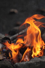 Close-up of vibrant orange and yellow flames dancing against a dark, blurred background, creating a warm and intense visual.