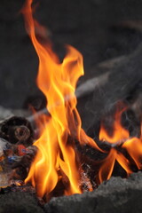 Close-up of vibrant orange flames engulfing dark wood in a fireplace.