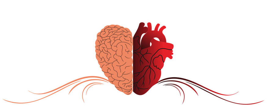 Hand drawn line art human brain and heart halfs. Grunge sketch tattoo design isolated on white background vector illustration. Logic and emotion priority concept