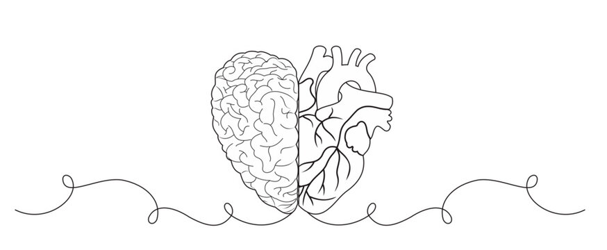 Hand drawn line drawing of a beating half of a human brain and heart. Grunge sketch tattoo design isolated on a white background, vector illustration. Concept of prioritizing logic and emotions.