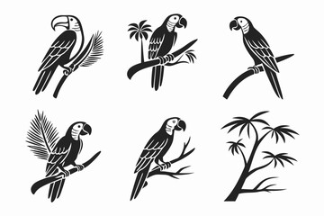 Six silhouetted parrots on branches isolated on white background, Vector