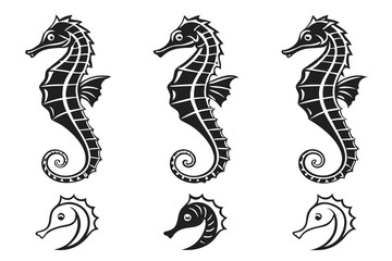 Seahorse silhouettes in black and white isolated on white background, Vector