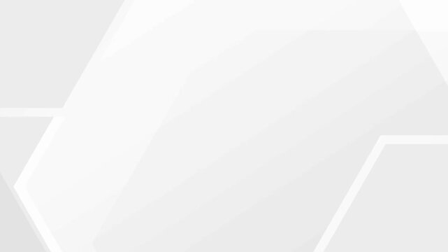 Geometric White and Gray Abstract Background image