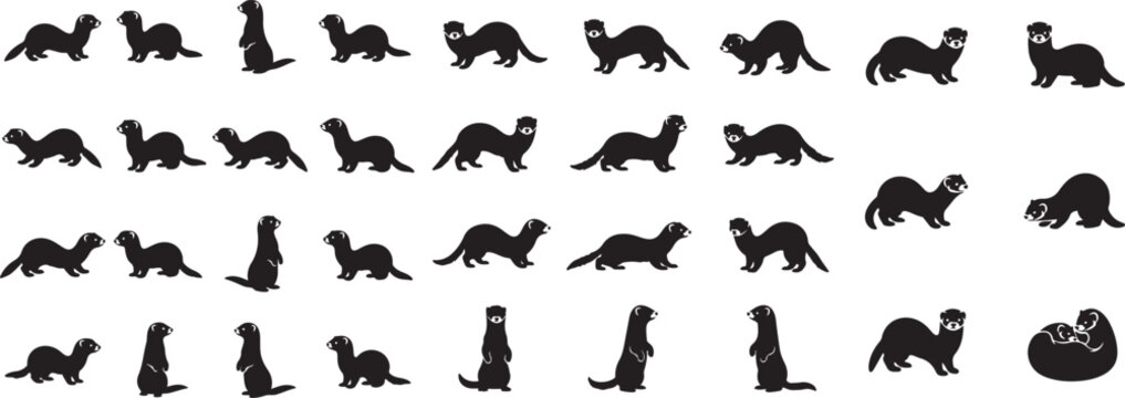 : Ferret icon collection, pet ferret silhouettes in different angles and motions, simple flat black vector icons.