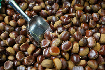  Fresh Chestnuts Full Frame Background 