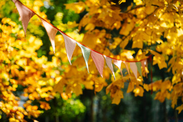 Autumn Celebration Flags on a Sunny October Day