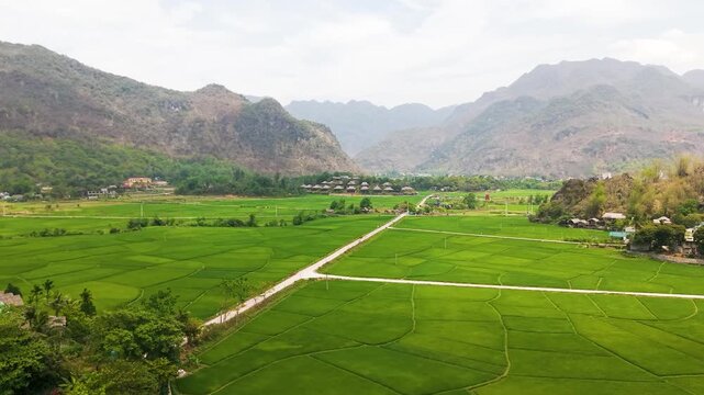 Mai Ch&acirc;u Rice Fields &ndash; Aerial Over Green Terraced Landscape