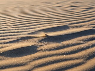 Macro Closeup of Dry Sand Wind Patterns, Abstract Natural Grain Texture Background
