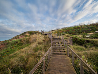 Wooden boardwalk steps winding up coastal hill in Portugal
