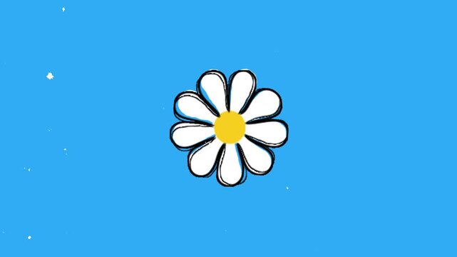 Isolated daisy flower on blue background. white daisy hand drawn line art cartoon style doodle wiggle effect seamless animation loop. illustration isolated icon on white background alpha matte channel