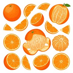 Vibrant Oranges in Various Slices and Forms Illustration