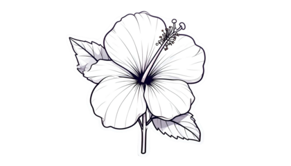 Elegant grayscale hibiscus flower with detailed petals and leaves on black background