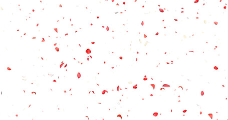 Red and white flower petals sway in the wind. Isolated on black background. 3D rendering.