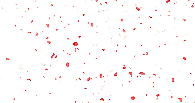 Red and white flower petals sway in the wind. Isolated on black background. 3D rendering.