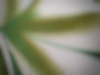 Not created by AI, Gray and green liquid background, abstract green gradient with wave windy background, with blur degrade style design for background or backdrop, silk background