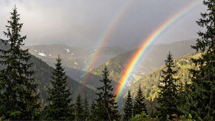 Double rainbow over mountain pine forest
