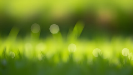Obraz premium Blurry green grass with bokeh effect in natural sunlight