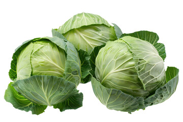 Fototapeta premium three cabbage heads isolated on white or transparent png