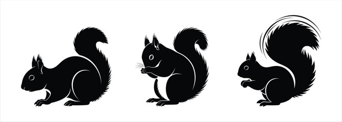 Black Squirrel Silhouettes in Various Poses on White Background © Sunnn