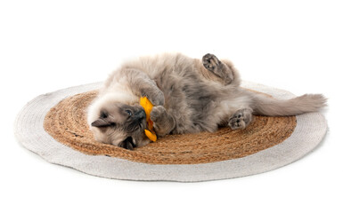 Fototapety na wymiar - Fototapeta24.pl