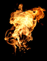 Fire flames on a black background