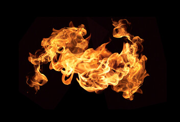 Fire flames on a black background