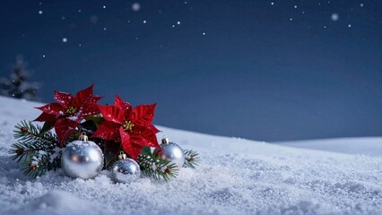 Winter snow scene with poinsettia and ornaments