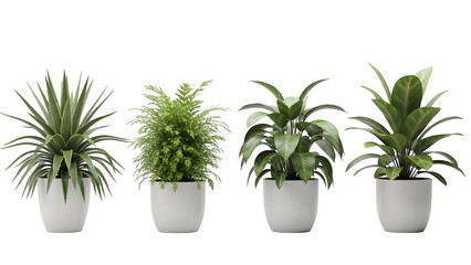 Obraz premium Four green potted plants isolated on transparent background