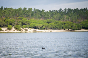 Lagoa de Albufeira Sesimbra Portugal