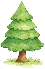 Cute Pine Tree Watercolor Illustration &mdash; Forest Tree Clipart for Kids and Woodland Designs