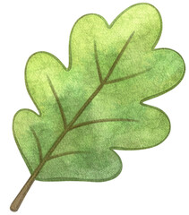 Watercolor Oak Leaf Illustration &mdash; Green Forest Leaf Clipart for Woodland and Nature Designs