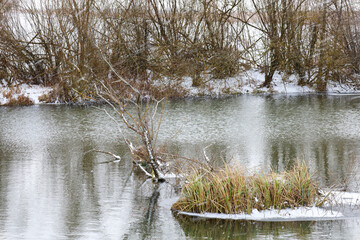 A scenic river flows past a snowy bank with dense bushes during a quiet winter snowfall. A small island with dry grass and a leaning tree create a harmonious natural composition against the calm water