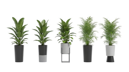 Four potted plants isolated on transparent background