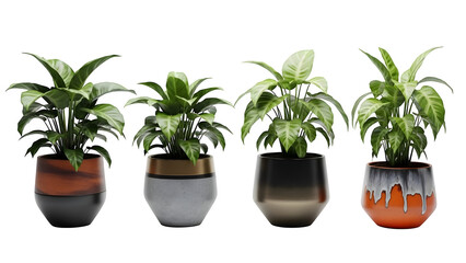 Obraz premium Four potted plants isolated on transparent background