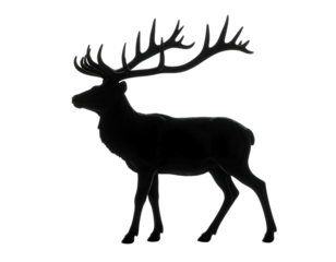 Silhouette of a majestic stag with large, branching antlers